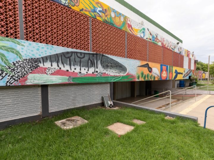 Prefeitura realiza Festival Paralímpico Loterias Caixa neste sábado
