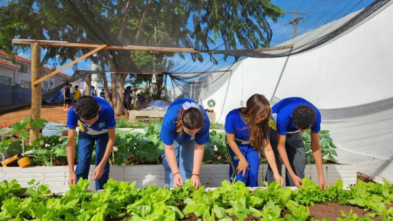 Escola Estadual Jada Torres incentiva alimentação saudável e aprendizado prático com horta escolar