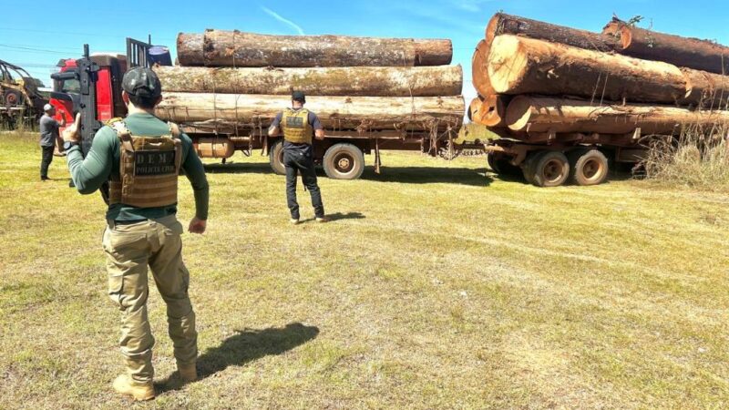 Polícia Civil apreende caminhões carregados com madeira em mais uma fase de operação contra desmatamento em Juína